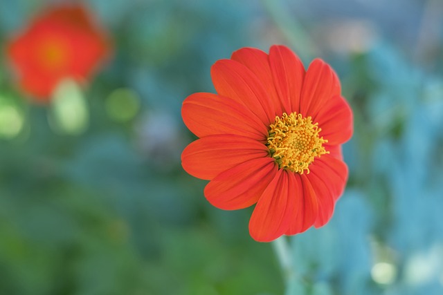 戈个人而言 戈个人而言