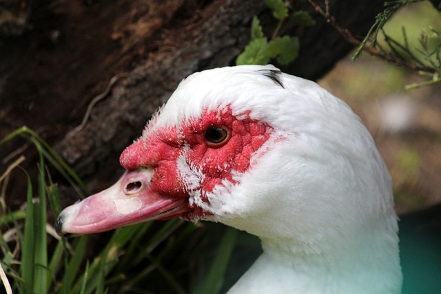 官方社交媒 官方社交媒