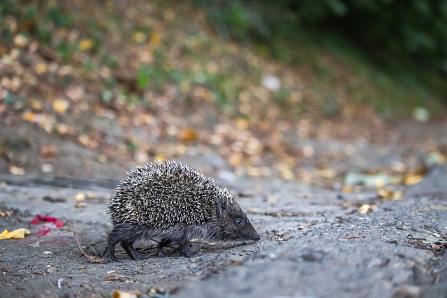 住巨大压力 住巨大压力