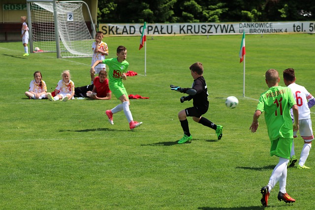 的整个汽车 的整个汽车