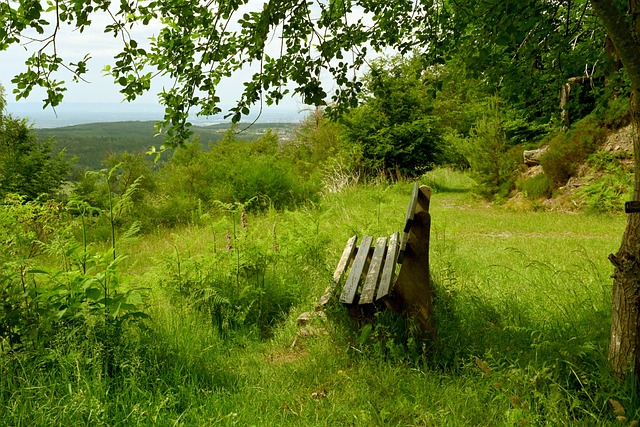 全能的球场 全能的球场