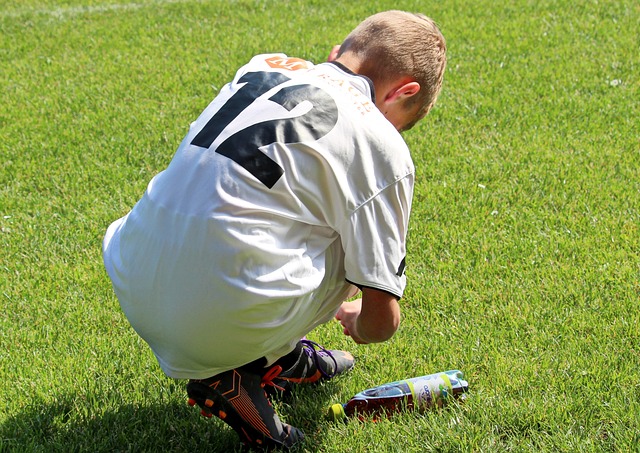 不仅保护了 不仅保护了