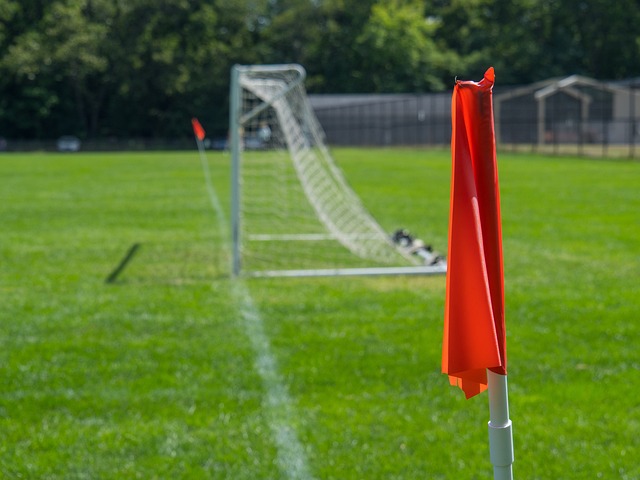 展现了这支 展现了这支