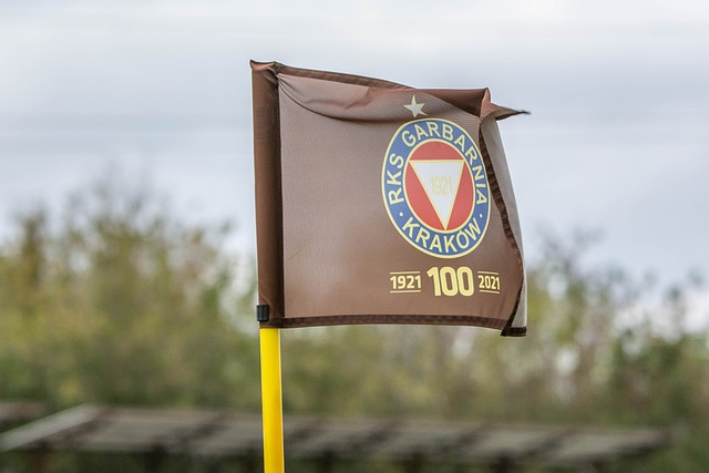 上海海港正 上海海港正