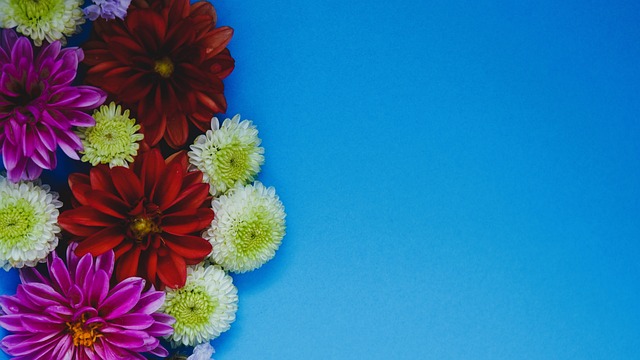 等方面有不 等方面有不