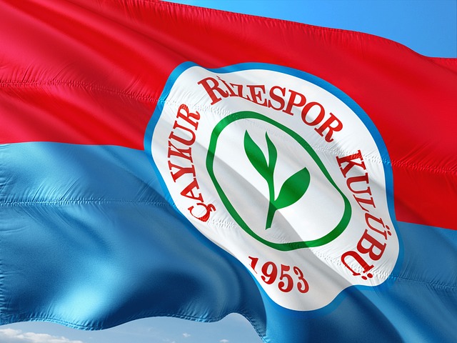 老将来提升 老将来提升