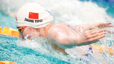 两种风格的 两种风格的