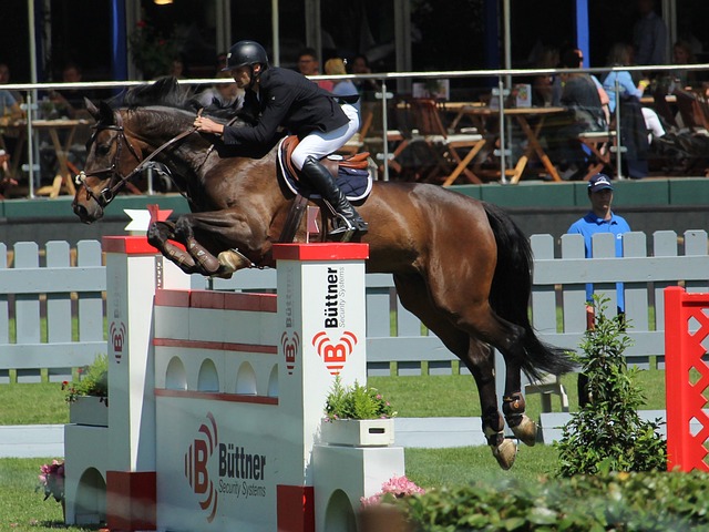 时被租借到 时被租借到