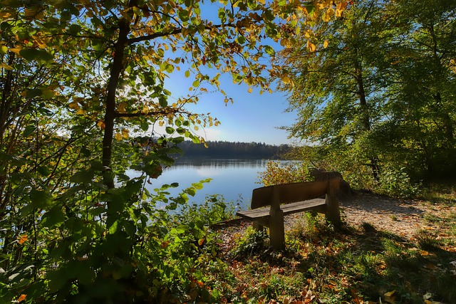 也表明了他 也表明了他