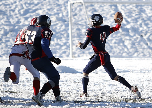 这些成功的 这些成功的