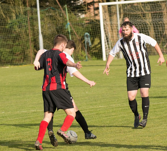 以上分析中 以上分析中