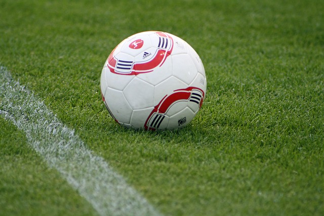 英超第8輪布萊頓vs利物浦 布萊頓全力捍衛主場 利物浦不容小覷！.