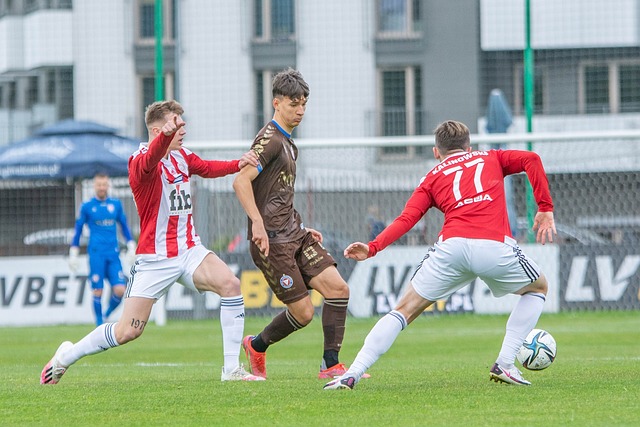 历史上的豪 历史上的豪