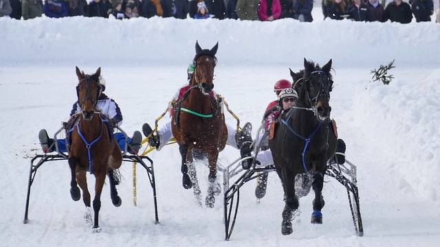 烈竞争的真 烈竞争的真