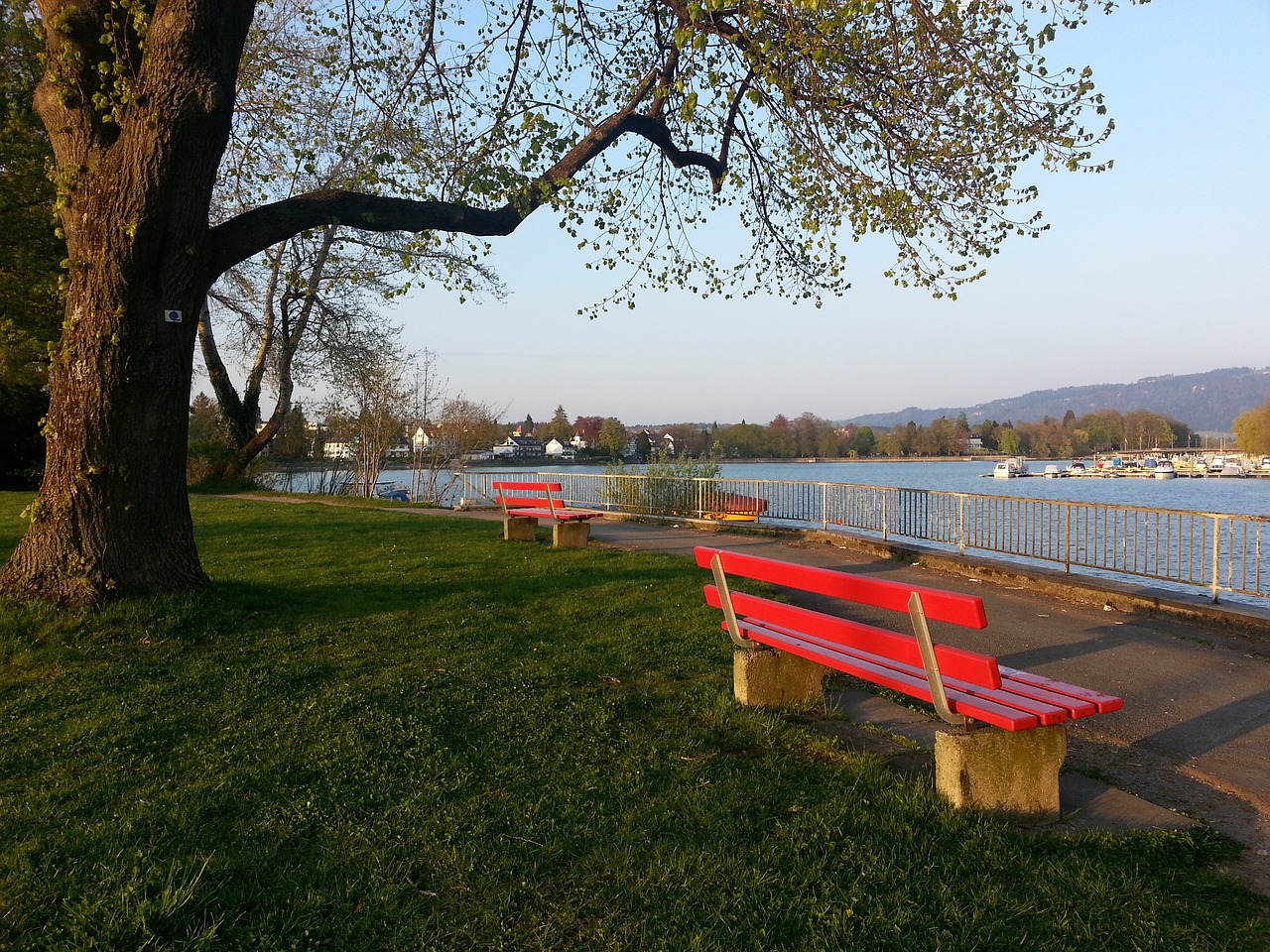 为意大利足 为意大利足