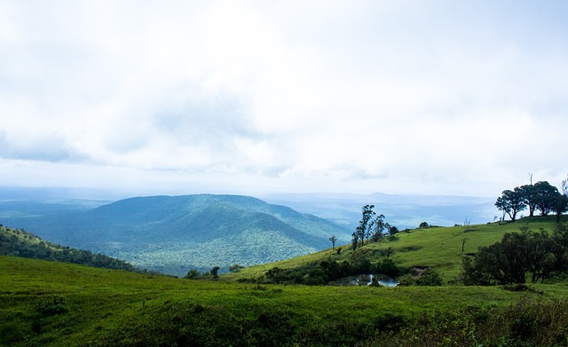 本场表现抢 本场表现抢